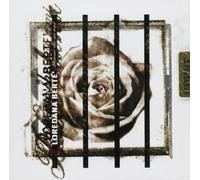 Berte' Loredana - Dimmi che mi ami