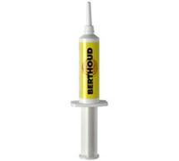 BERTHOUD - Seringue graisse silicone 10 g