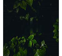 Bertoni Martina - Music for Empty Flats