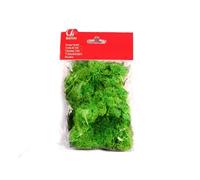 BERTONI-Sachet de lichen vert 30 Gr