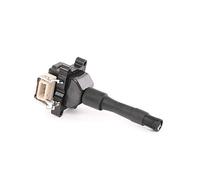 BorgWarner (BERU) Bobine d'allumage AG 0040100014