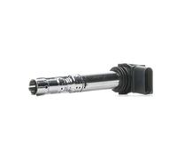 BERU Bobine d'allumage ZSE031 SAE – Compatible Audi A8/Bentley Continental/VW Passat Phaeton