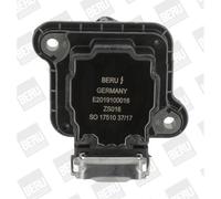 BorgWarner (BERU) Bobine d'allumage ZS016 Raccord SAE pour Audi Seat Skoda VW