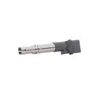 Bobine d'allumage BORG WARNER (BERU) ZSE 044