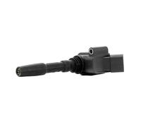 1x Bobine d'allumage BorgWarner (BERU) ZSE137 convient pour AUDI PORSCHE SEAT