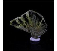 BERYL - Pierre Naturelle en Provenance de Madagascar, Sahatany Valley, Ibity, Antsirabe II - Pierre précieuse, vert émeraude, énergie apaisante - 17.06 ct - Certificat d'Authenticité Inclus 29 x 16 x