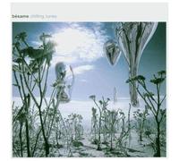 Vari-Besame-Chilling – Besame-Chilling Tunes – Import