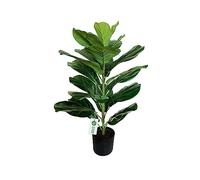 BESAMENATURE Fiddle Leaf Ficus Lyrata Artificiel pour décoration d'intérieur, 76,2 cm de Haut, Vert