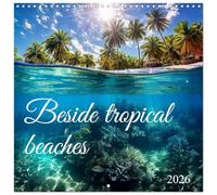 Beside tropical beaches (Wall Calendar 2026 12 × 12 Inch) CALVENDO 12 Month Wall Calendar: Rocking on the waves, watching fish and enjoying the vacation
