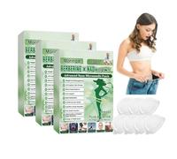 beslimtop patch minceur français， Moringa & Berberine 10-IN-1 Advanced Nano Microneedle Patch,Ingrédients Naturels, Raffermissement de la Peau, Facile à Appliquer