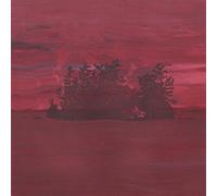Besnard Lakes are The Divine Wi