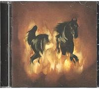 BESNARD LAKES - Besnard Lakes are The Dark Horse