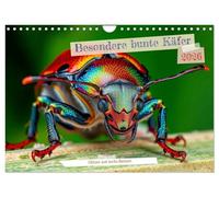 Besondere bunte Käfer (Wandkalender 2026 DIN A4 quer), CALVENDO Monatskalender: Sie schimmern wie Edelsteine, tanzen durch das Licht und erzählen Geschichten aus der Natur.