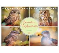 Besondere Vogelportraits (Tischkalender 2027 DIN A5 quer), CALVENDO Monatskalender: Wir zeigen Vögel in einer Intensität, die man selten so nah ... Blicke und Farben, die wie gemalt wirken.