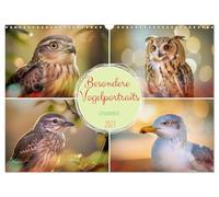 Besondere Vogelportraits (Wandkalender 2027 DIN A3 quer), CALVENDO Monatskalender: Wir zeigen Vögel in einer Intensität, die man selten so nah erlebt: ... Blicke und Farben, die wie gemalt wirken.