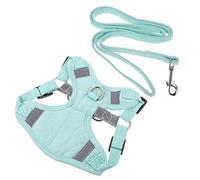 BESPORTBLE 1 Jeu Laisse De Chat Harnais De Traction Chaton Sangle De pour Animaux De Compagnie Ceinture De Chien Laisse Gilet pour Chien avec Collier Laisse De Lapin Green Coton