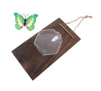 BESPORTBLE 1 Jeu Vase Hydroponique Suspendu Vase Plantes Hydroponiques Planteur De Bulbes Hydroponique Vase Micro-Paysage Jardinière Suspendue Vase à Fleurs Transparent Pot à Fleurs Bois