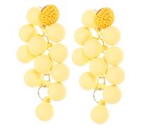 BESPORTBLE 1 Paire jolies boucles d'oreilles pour femmes d'oreilles femme earrings for women boucles d'oreilles fruits pour femmes pendantes jolies boucles d'oreilles pendantes résine