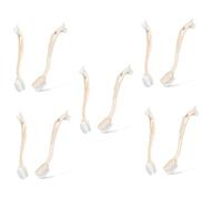 BESPORTBLE 10 Pièces Brosse À Chaussures De Nettoyage De Cuisine Brosse À Casseroles Brosse De Cuisine Brosse De Chenil Brosse À Récurer Chaussures De Démarrage Brosse Brosse À Vaisselle