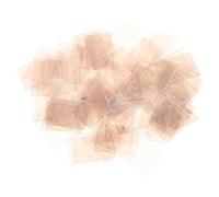 BESPORTBLE 100 Pièces de Mica Transparentes Résistantes à Haute Température pour Four à Micro-ondes, Retardateur de Flamme, Facile à Identifier, Remplacement et Entretien