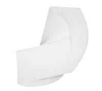BESPORTBLE 100 Pièces Nettoyage pour Instruments de Musique Papier Absorbant pour Saxophones et Clarinettes Tapis de Séchage Haute Absorption pour Entretien Musical