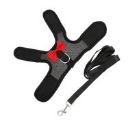 BESPORTBLE 2 Ensembles Harnais De Lapin Marche Lapin Laisse Harnais pour Chiots Lapin Harnais Chiot Robe D'Été Chiot Kit Lapin Marche Lapin Marche Harnais Lapin Vêtements Cobaye Net