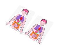 BESPORTBLE 2 Ensembles Modèles DIY Organes Humains Jeu Éducatif Manuel pour Garçon Fille Développement Cognitif Créativité Coordination Main Œil