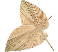 BESPORTBLE 2 Éventails en Feuilles de Palmier Séchées Forme Cœur 30x25 Cm, Décorations Naturelles pour Mariage, Salon et Intérieur, Lot de 2 Pièces, Feuilles Séchées Tropicales et Tiges