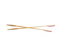 BESPORTBLE 2 Pièces Accessoires Yangqin avec Motif de Raisin Maillets pour Dulcimer Outils Durables pour Pratique et Performance Musicale