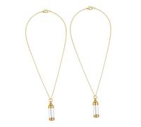 BESPORTBLE 2 Pièces Collier De Souvenirs Pour Animaux De Compagnie Collier Commémoratif De Crémation Chiens Graver Collier D'urne Commémorative Animal De Compagnie Mémorial Un Verre Golden