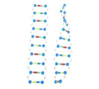 BESPORTBLE 2 Pièces Kit de Modèle Moléculaire DNA Structure Double pour Enseignement Scientifique Vulgarisation Outil Pédagogique Indispensable pour Étudiants et Professeurs