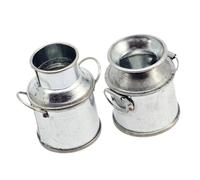 BESPORTBLE 2 Pièces Mini Seaux Accessoires de Maison Miniature pour Décoration de Fleurs et Seaux à Lait Fer pour Créativité