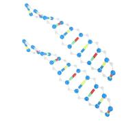 BESPORTBLE 2 pièces Modèle Adn Double Hélice Kit Modélisme Scientifique Éducatif pour Enseignement Biologie et Recherche