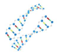 BESPORTBLE 2 pièces Modèle Double Hélice Kit Éducatif Composants Détachables pour Étudiants Science Biologie Enseignement Compréhension Génétique