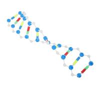 BESPORTBLE 2 Pièces Modèle Éducatif Double Hélice Auto Assemblable Outil Pédagogique Scientifique pour Étudiants Kit Apprentissage Biologique et Expérimentation