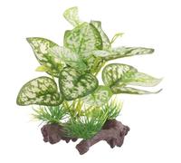 BESPORTBLE 2 Pièces Plantes Aquatiques Artificielles Calibreur Petits Enfants Arrosoir Receveur De De Cage à Oiseaux Jouets Miracles Plantes É ées De Bain Pot Plastique