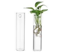 BESPORTBLE 2 Pièces Vase Mural Décors Muraux Cylindre Suspendu Au Mur Vase Tube à Essai Maison Conteneur Pots De Plantes D'intérieur Grand Jardinière Murale Vase De Sol Un Verre Transparent
