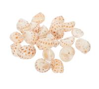BESPORTBLE 20 Pièces Conque Coquilles De Bernard-l'ermite Coquilles De Remplacement Dermite Perles De Coquilles Turbo De Bernard-lermite Coquilles Saint- Naturelles Perles Éparses Aquarium