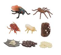 BESPORTBLE 2Ensembles Cycle de Vie des Insectes Kit Éducatif Cigale pour Garçon Fille Scientifique pour Nature et Développer