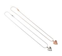 BESPORTBLE 2pièces Collier Urne Funéraire Forme de Cœur pour Chien Pendentif Souvenir des Cendres Animal de Compagnie Bijoux Commémoratifs Acier Inoxydable