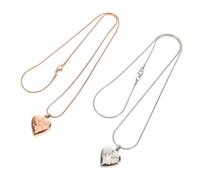BESPORTBLE 2pièces Collier Urne pour Cendres Animaux Pendentif Forme De Cœur Contenant De Rangement Bijou Commémoratif pour Animaux Cadeau De Sympathie