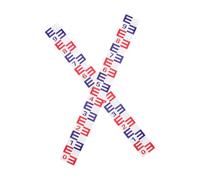 BESPORTBLE 2pièces Niveau Eau Jauge Autocollante pour Piscine Et Étang Règle De Jauge Film Aluminium Étanche Indicateur De Hauteur Adhésif