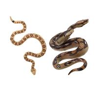 BESPORTBLE 2Pièces Serpent Réaliste Faux Serpent pour Farces et Jeux pour Halloween et Éducatifs