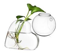 BESPORTBLE 2pièces Stations De Multiplication Verre pour Plantes Intérieur Jardinières Murales Suspendues Terrarium Décoration Murale