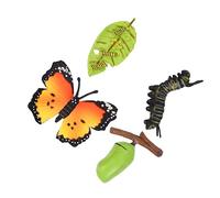 BESPORTBLE 3 Ensembles Kit Éducatif Modèle Réaliste Cycle de Vie Cognition pour Modèle Simulation Insecte pour Observation et Apprentissage
