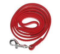 BESPORTBLE 3pièces Laisse pour Chien PU avec Laisse Colorée pour Et Dressage Adaptée Aux Petits Animaux Rouge
