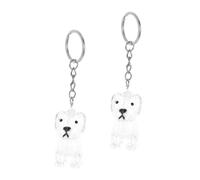 BESPORTBLE 4 Pièces Boîte Mémoriale Transparente pour Poils de Chien Coffret Souvenir et Compact Porte-clés de Rangement Protecteur pour Collection de Poils Animaux