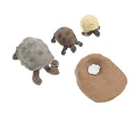 BESPORTBLE 4 pièces Kit Tortues Cycle de Vie Jouets Éducatifs Décorations Modèles Réalistes PVC pour Garçon Fille Jouets Reptiles et Tortues Ornements Éveil et Couleur Aléatoire
