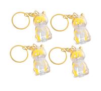 BESPORTBLE 4pièces Porte-clés Collecteur de Poils de Chien avec Boîte de Rangement Transparente Mémorial pour Chien et Souvenir de Poils Animal Pendentif pour Sacoche à Main