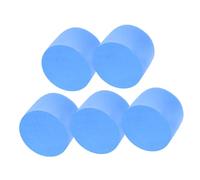 BESPORTBLE 5 Pièces Éponge de Filtration pour Fourmilière Éponge Préfiltre pour Test Tubes Outils Éducatifs pour Soins des Fourmis de Humidité et Entretien Facile